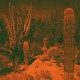 CAMERON KNOWLER & ELI WINTER-ANTICIPATION (CD)