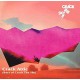CRACK THE SKY-CRACK ATTIC (BEST.. -HQ- (2LP)