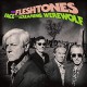 FLESHTONES-FACE OF THE.. -DOWNLOAD- (LP)