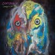 DINOSAUR JR.-SWEEP IT.. -COLOURED- (LP)
