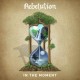 REBELUTION-IN THE MOMENT (CD)
