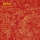 POLVO-TODAY`S.. -REISSUE- (LP)