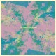 FLYYING COLOURS-FANTASY COUNTRY (CD)