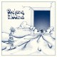 V/A-BELONG TO THE WIND (LP)
