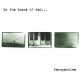 BY THE GRACE OF GOD-PERSPECTIVE (LP)