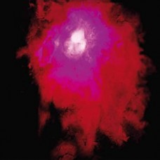 PORCUPINE TREE-UP THE DOWNSTAIR (LP)