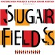 VINTSKEVICH PROJECT AND F-SUGAR FIELDS (LP)
