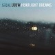 STEVE LOUW-HEADLIGHT DREAMS (CD)