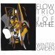 FLOW TRIO WITH JOE MCPHEE-WINTER GARDEN (CD)