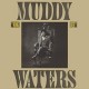 MUDDY WATERS-KING BEE (CD)