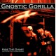 GNOSTIC GORILLA-HIDE THE GHOST (CD)