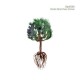 OSA7029-ROOTS/BRANCHES/CONES (CD)