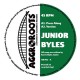 JUNIOR BYLES-PRESS ALONG/THANKS AND.. (12")