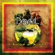 DANAKIL-DIALOGUE DE SOURDS (LP)