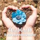 ANNHNNA-IL EST ENVIRONNEMENT (CD)