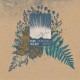 PARK WALKER-DISTANT PHENOMENA (LP)