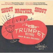 V/A-SHOUT, BROTHER, SHOUT.. (7")