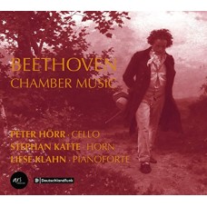 PETER HORR-BEETHOVEN: CHAMBER MUSIC (CD)