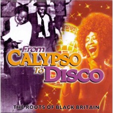 V/A-FROM CALYPSO TO DISCO (CD)