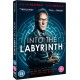 FILME-INTO THE LABYRINTH (DVD)