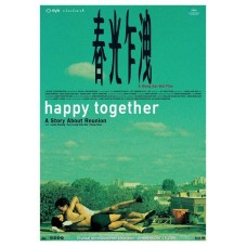 FILME-HAPPY TOGETHER (DVD)