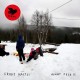FRODE HALTLI-AVANT FOLK II (LP)