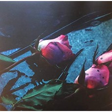 SKELETON HANDS-WAKE -LTD- (LP)