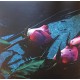 SKELETON HANDS-WAKE -LTD- (LP)
