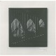 SOCIAL STATION-SAME (CD)