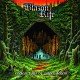 BLAZON RITE-ENDLESS HALL OF GOLDEN.. (LP)