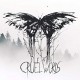 DEHA-CRUEL WORDS (LP)