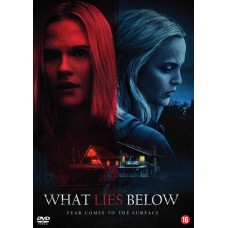 FILME-WHAT LIES BELOW (DVD)