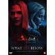 FILME-WHAT LIES BELOW (DVD)