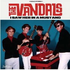 VANDALS-I SAW HERE.. -COLOURED- (LP)