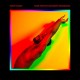 TONY NJOKU-YOUR PSYCHE'S RAINBOW.. (LP)