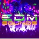 V/A-EDM SOUNDS (2CD)
