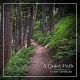 LYNN TREDEAU-QUIET PATH (CD)