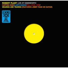 ROBERT PLANT-LIVE AT KNEBWORTH -RSD- (12")