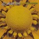 AD VANDERVEEN-LATE BLOOMER (CD)