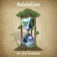REBELUTION-IN THE MOMENT -COLOURED- (LP)