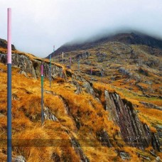 SECTION 25-FROM THE HIP -COLOURED- (3LP)