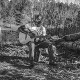 CEDRIC BURNSIDE-I BE TRYING (LP)