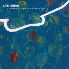 STEVE DAWSON-AT THE BOTTOM OF A.. (LP)