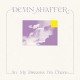 DEVIN SHAFFER-IN MY DREAMS I'M THERE (LP)