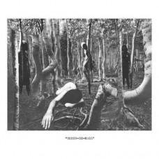 BOSSE-DE-NAGE-BOSSE-DE-NAGE -COLOURED- (2LP)