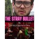 FILME-STRAY BULLET (DVD)