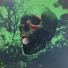 JOHN DWYER/NICK MURRAY/BRAD CAULKI/TOM DOLAS/GREG COATES-WITCH EGG (LP)