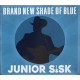JUNIOR SISK-BRAND NEW SHADE OF BLUE (CD)
