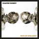 SLEATER-KINNEY-PATH OF WELLNESS -COLOUR- (LP)