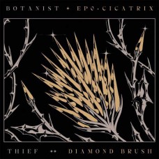 BOTANIST / THIEF-CICATRIX /.. -SPLIT- (LP)